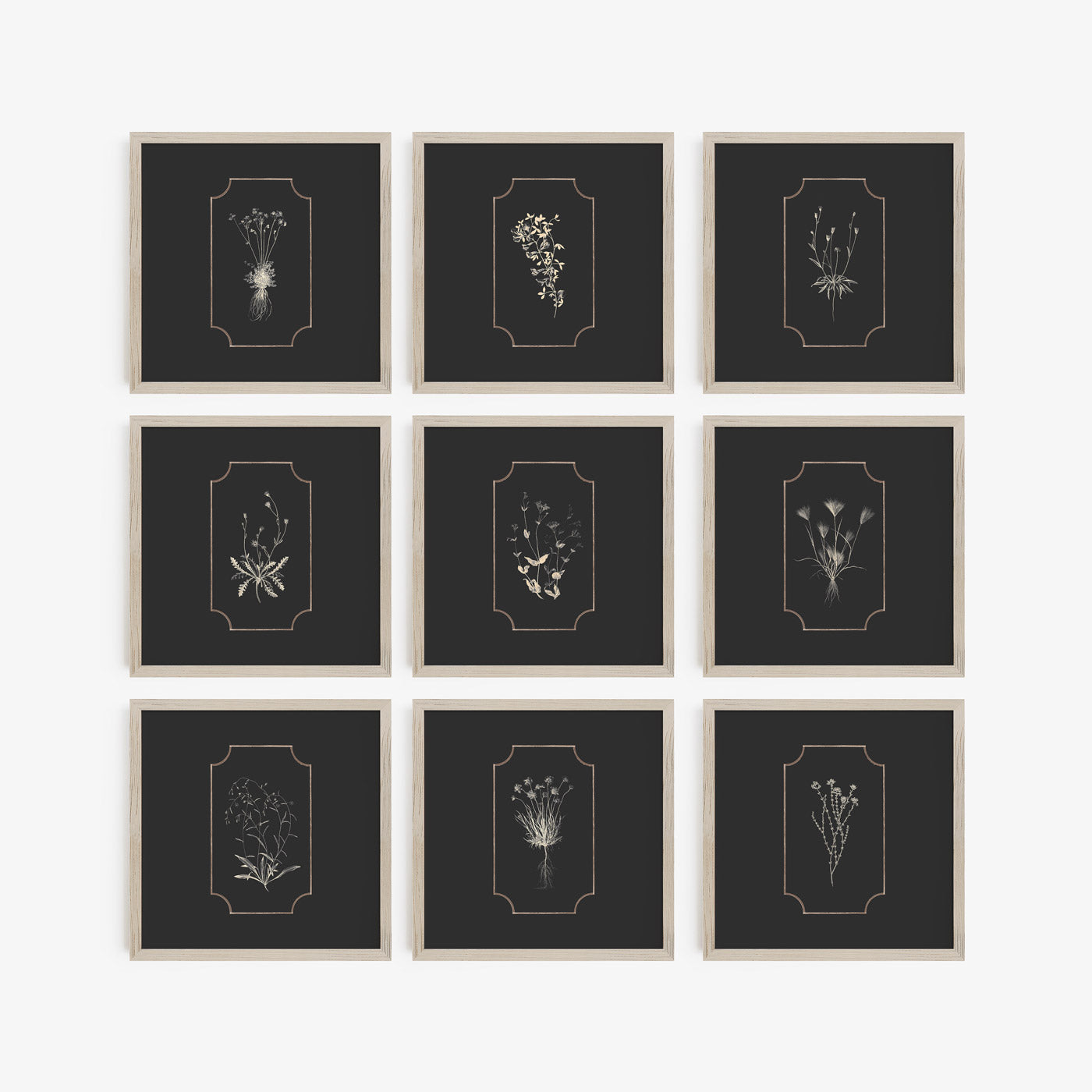9 Stunning Botanical Silhouettes - Digital Prints for Home Decor | Instant Download