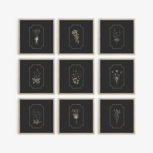 9 Stunning Botanical Silhouettes - Digital Prints for Home Decor | Instant Download
