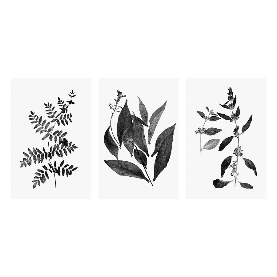 Botanical Set of 3 Art prints