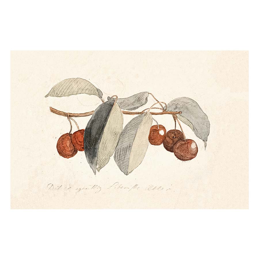 Cherry branch Art Print