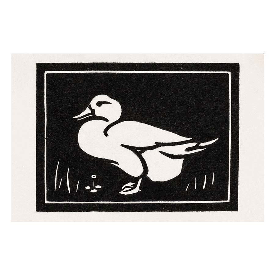 Duck II Art Print