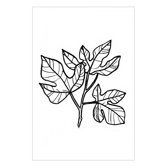 Fig leaf I Art Print
