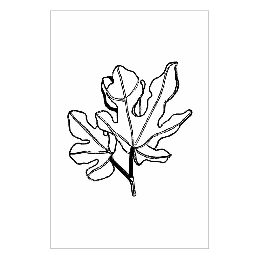 Fig leaf II Art Print