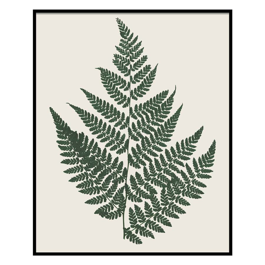 Herbarium I Art Print