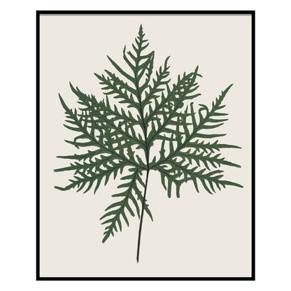 Herbarium II Art Print 1