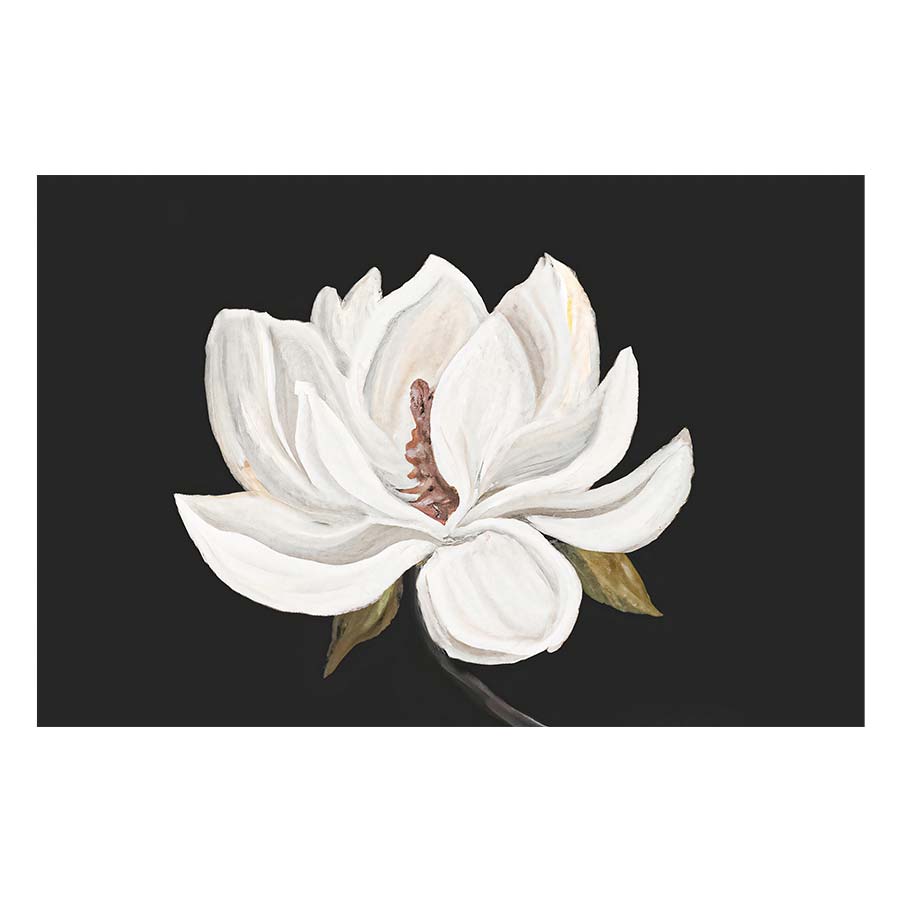 Magnolia flower Art Print